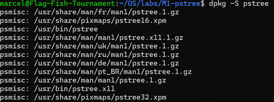 image-20241230234303486